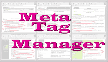 meta manager tag yav